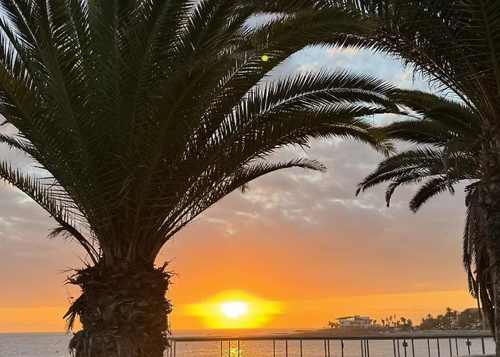 Nacar Golden By Deihu Experiences * Los Cristianos (Tenerife)